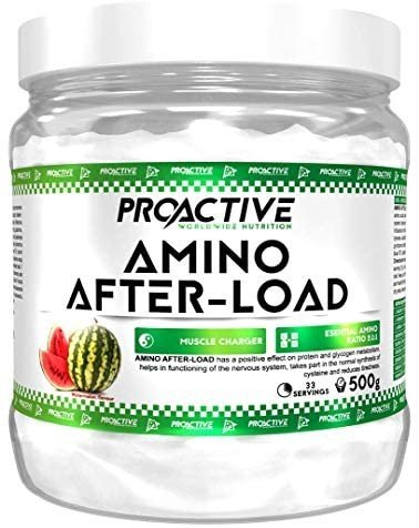 ProActive Amino After Load 500g.
